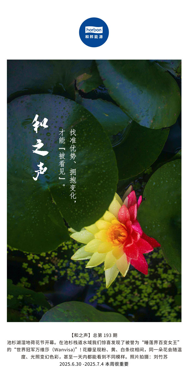 【和之声】找准优势、拥抱变动，能力“被看见”。(总第193期）--2025.6中文导出季度推送用.jpg